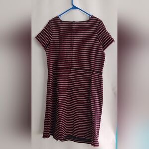 Talbots Women Black & Pink Striped SS Dress Size 14W